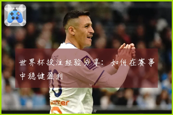 世界杯投注经验分享：如何在赛事中稳健盈利