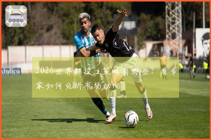 2026世界杯投注策略有哪些？看专家如何分析市场动向